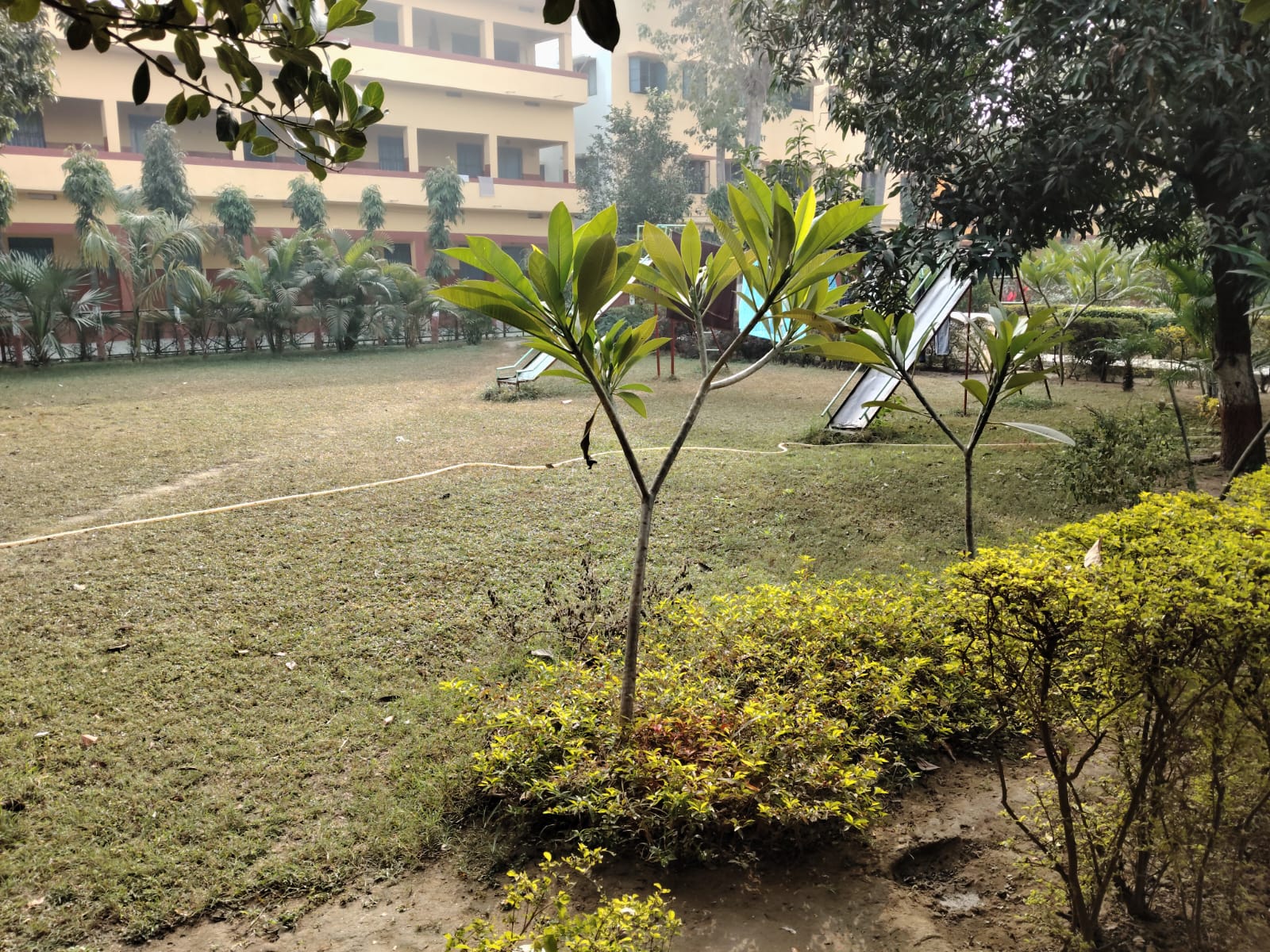 Campus view 14