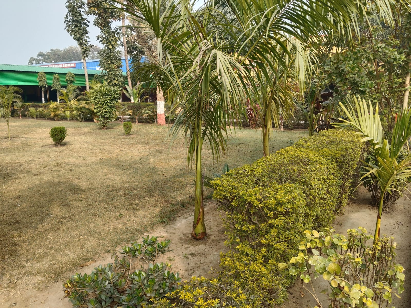Campus view 8